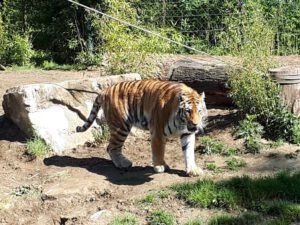 Der Zoo Gelsenkirchen - Die Zoom Erlebniswelt im Mai 2020