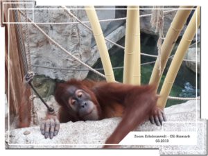 Der Zoo Gelsenkirchen - Die Zoom Erlebniswelt im März 2019