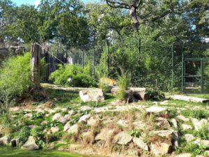 Der Zoo Gelsenkirchen - Die Zoom Erlebniswelt im September2020