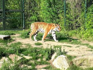 Der Zoo Gelsenkirchen - Die Zoom Erlebniswelt im September2020