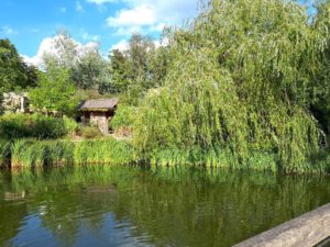 Der Zoo Gelsenkirchen - Die Zoom Erlebniswelt im September2020
