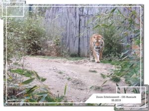 Der Zoo Gelsenkirchen - Die Zoom Erlebniswelt im März 2019