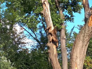 Der Zoo Gelsenkirchen - Die Zoom Erlebniswelt im September2020