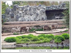 Der Zoo Gelsenkirchen - Die Zoom Erlebniswelt im September2020