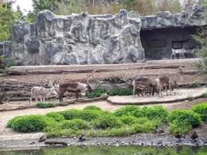 Der Zoo Gelsenkirchen - Die Zoom Erlebniswelt im September2020
