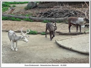 Der Zoo Gelsenkirchen - Die Zoom Erlebniswelt im September2020