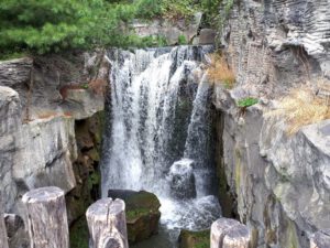 Der Zoo Gelsenkirchen - Die Zoom Erlebniswelt im September2020
