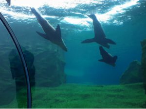 Der Zoo Gelsenkirchen - Die Zoom Erlebniswelt im September2020