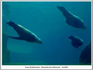 Der Zoo Gelsenkirchen - Die Zoom Erlebniswelt im September2020