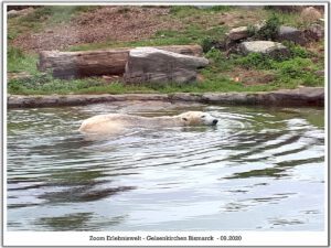 Der Zoo Gelsenkirchen - Die Zoom Erlebniswelt im September2020