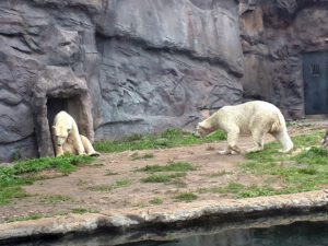 Der Zoo Gelsenkirchen - Die Zoom Erlebniswelt im September2020