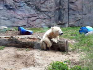 Der Zoo Gelsenkirchen - Die Zoom Erlebniswelt im September2020