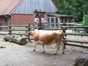 Der Zoo Gelsenkirchen - Die Zoom Erlebniswelt im September2020