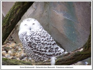 Der Zoo Gelsenkirchen - Die Zoom Erlebniswelt