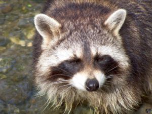 Der Zoo Gelsenkirchen - Die Zoom Erlebniswelt