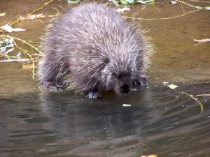 Der Zoo Gelsenkirchen - Die Zoom Erlebniswelt
