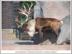 Der Zoo Gelsenkirchen - Die Zoom Erlebniswelt