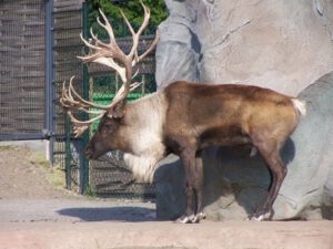Der Zoo Gelsenkirchen - Die Zoom Erlebniswelt