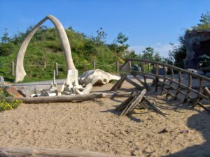 Der Zoo Gelsenkirchen - Die Zoom Erlebniswelt