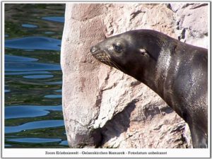 Der Zoo Gelsenkirchen - Die Zoom Erlebniswelt