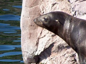 Der Zoo Gelsenkirchen - Die Zoom Erlebniswelt