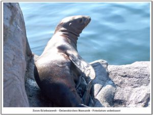 Der Zoo Gelsenkirchen - Die Zoom Erlebniswelt