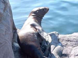 Der Zoo Gelsenkirchen - Die Zoom Erlebniswelt
