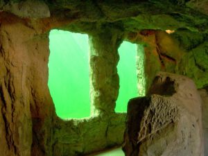 Der Zoo Gelsenkirchen - Die Zoom Erlebniswelt