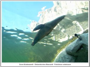 Der Zoo Gelsenkirchen - Die Zoom Erlebniswelt