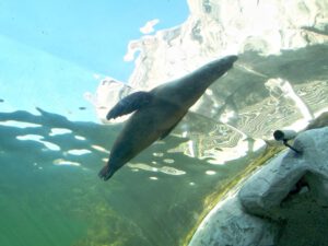 Der Zoo Gelsenkirchen - Die Zoom Erlebniswelt