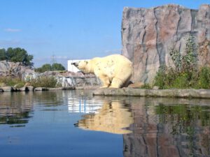 Der Zoo Gelsenkirchen - Die Zoom Erlebniswelt