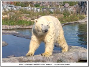 Der Zoo Gelsenkirchen - Die Zoom Erlebniswelt