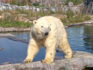 Der Zoo Gelsenkirchen - Die Zoom Erlebniswelt