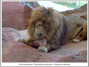 Der Zoo Gelsenkirchen - Die Zoom Erlebniswelt