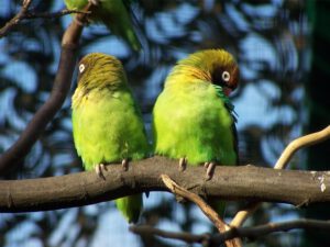 Der Zoo Gelsenkirchen - Die Zoom Erlebniswelt