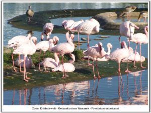 Der Zoo Gelsenkirchen - Die Zoom Erlebniswelt