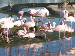 Der Zoo Gelsenkirchen - Die Zoom Erlebniswelt