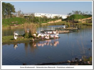 Der Zoo Gelsenkirchen - Die Zoom Erlebniswelt