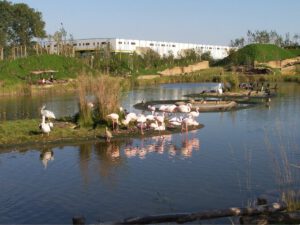 Der Zoo Gelsenkirchen - Die Zoom Erlebniswelt
