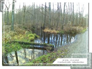 Gelsenkirchen Erle im Dezember 2018