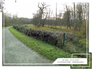 Gelsenkirchen Erle im Dezember 2018