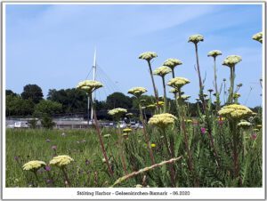 Stölting Harbor in Gelsenkirchen Bismarck im Juni 2020