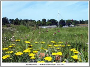 Stölting Harbor in Gelsenkirchen Bismarck im Juni 2020