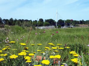 Stölting Harbor in Gelsenkirchen Bismarck im Juni 2020