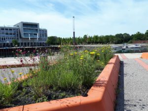 Stölting Harbor in Gelsenkirchen Bismarck im Juni 2020
