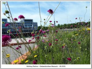 Stölting Harbor in Gelsenkirchen Bismarck im Juni 2020
