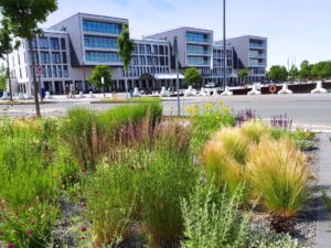 Stölting Harbor in Gelsenkirchen Bismarck im Juni 2020