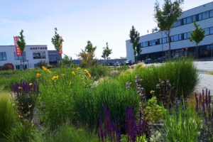 Stölting Harbor in Gelsenkirchen Bismarck im Juni 2020