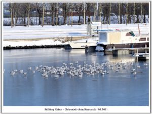 Winter am Stölting Harbor in Gelsenkirchen Bismarck im Februar 2021