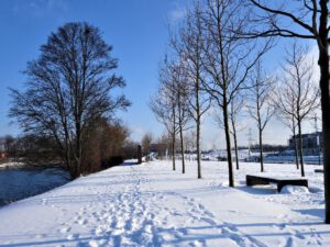 Winter im Stölting Harbor in Gelsenkirchen Bismarck im Februar 2021